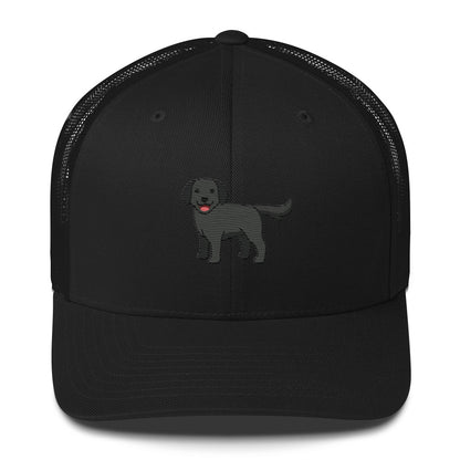 Labrador Retriever Black Hat