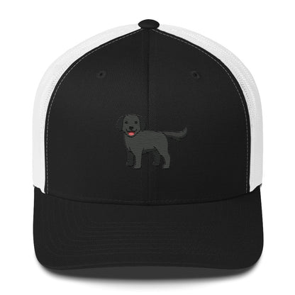 Labrador Retriever Black Hat