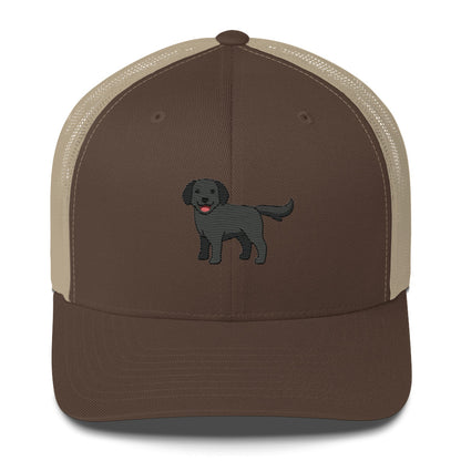 Labrador Retriever Black Hat