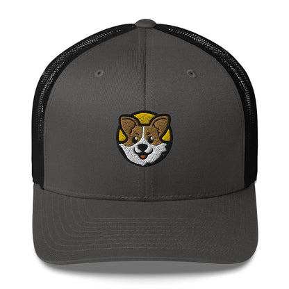 Corgi Face Hat