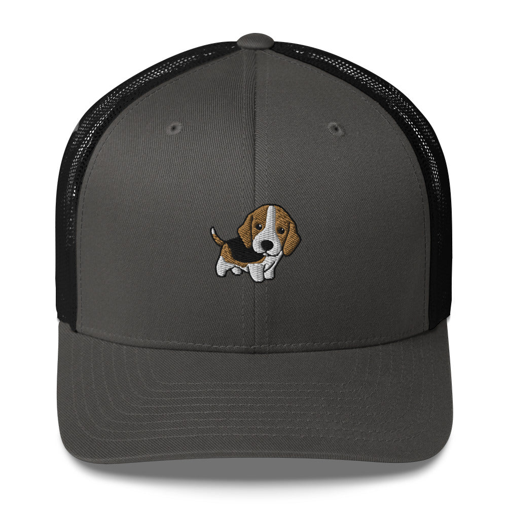 Beagle hat 2024