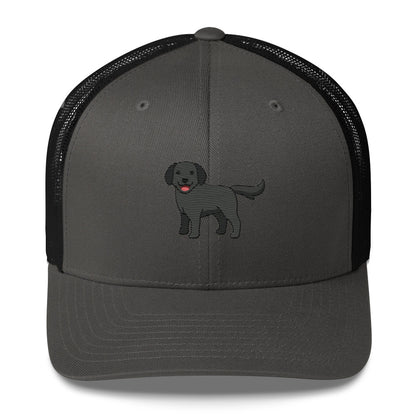 Labrador Retriever Black Hat