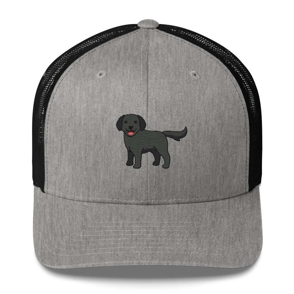 Labrador Retriever Black Hat