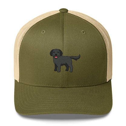 Labrador Retriever Black Hat