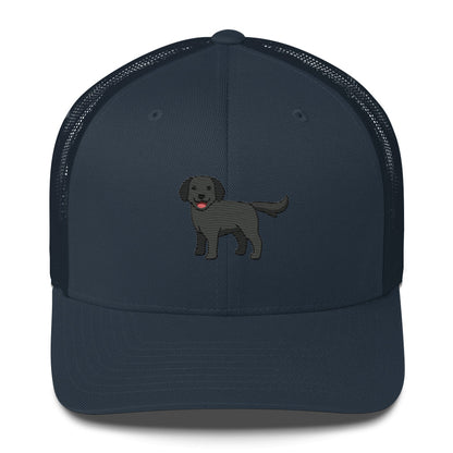 Labrador Retriever Black Hat