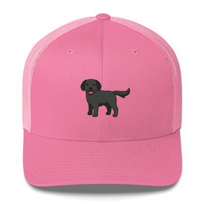 Labrador Retriever Black Hat