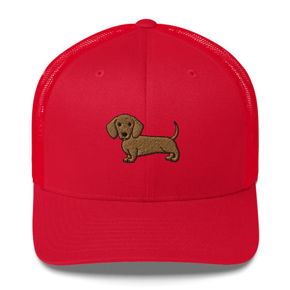 Golden Dachshund Hat