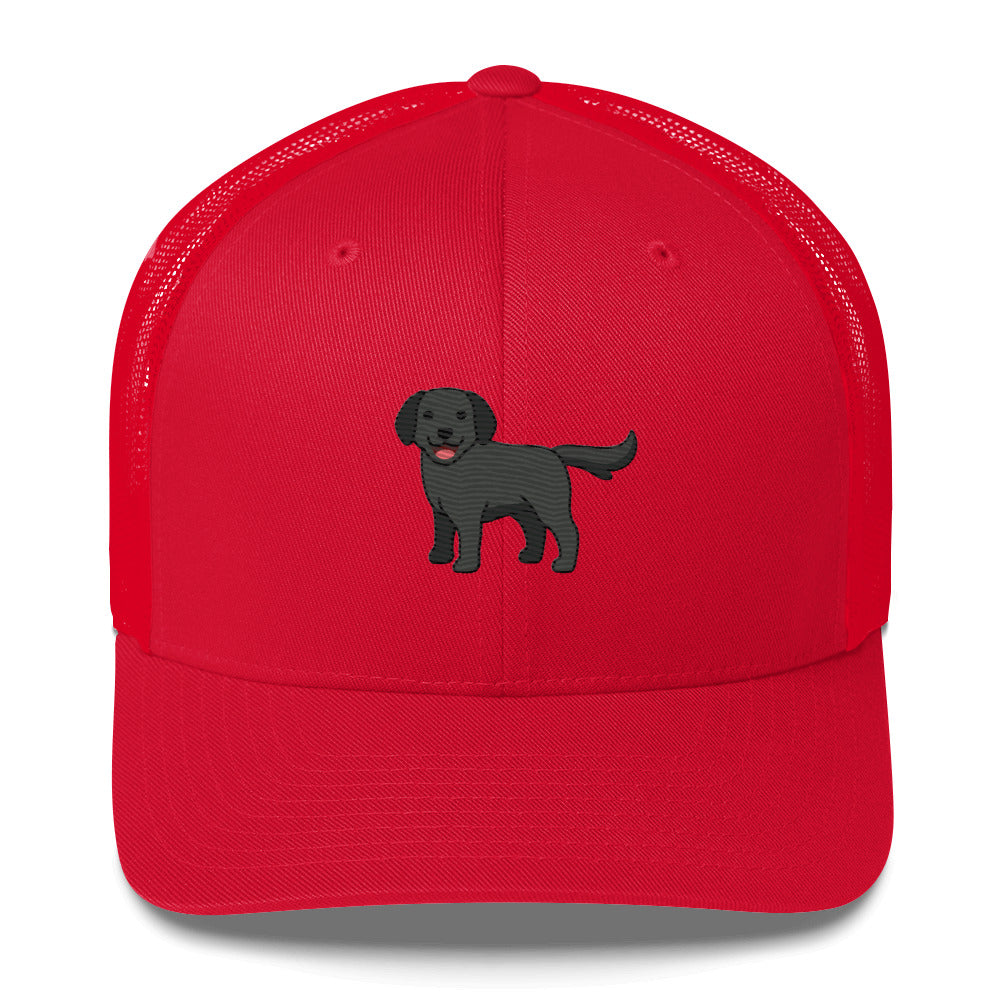 Labrador Retriever Black Hat