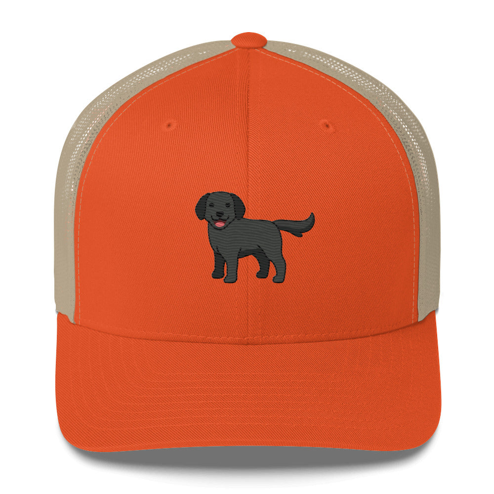 Labrador Retriever Black Hat