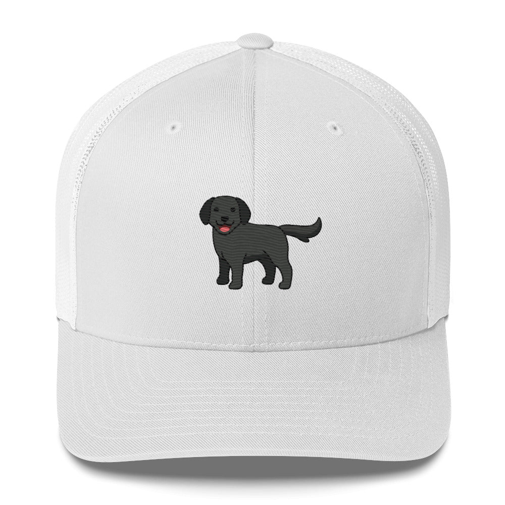 Labrador Retriever Black Hat